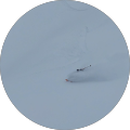 ditchseeker_ ditchseeker_